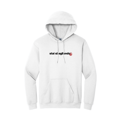 Hoodie Gog - stai sbagliando