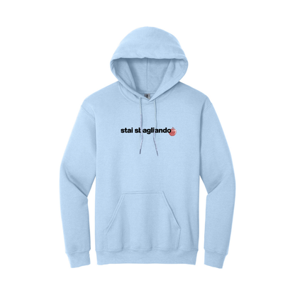 Hoodie Gog - stai sbagliando